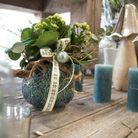 Pflanze in Floristikladen