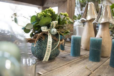 Pflanze im Floristikladen